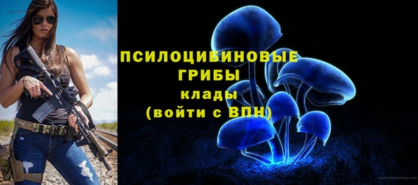 круглые Белокуриха
