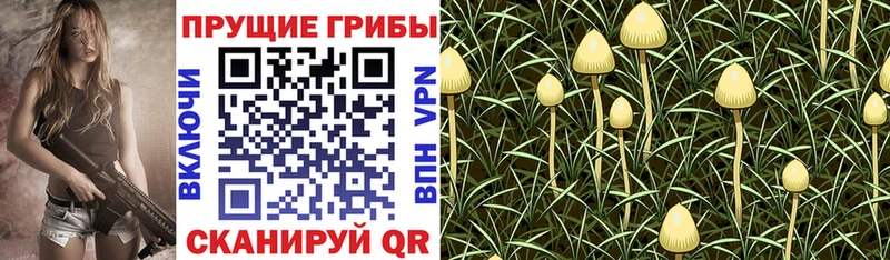 Псилоцибиновые грибы MAGIC MUSHROOMS  Кушва 