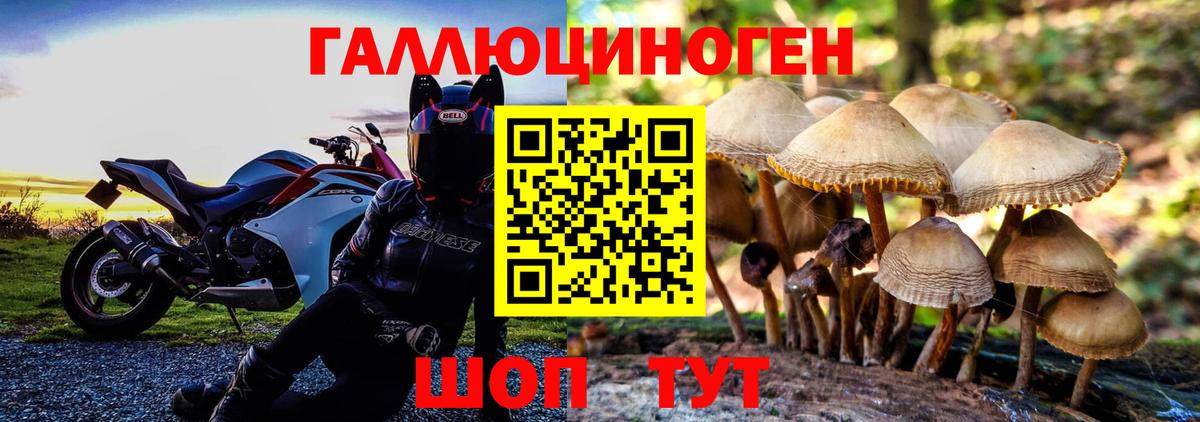 Галлюциногенные грибы мухоморы  Галлюциногенные грибы прущие грибы  Кушва  Вход с VPN 